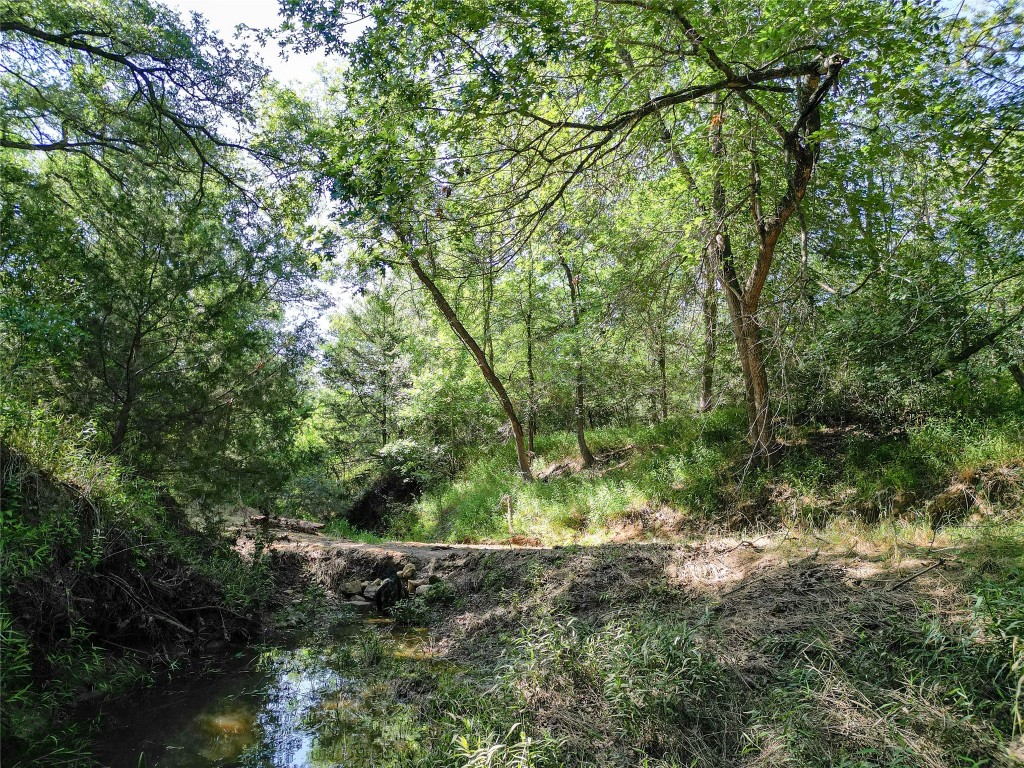 995 Carter Road Dale, TX 78616 - Photo 12 of 28 a view of a forest with trees in the background