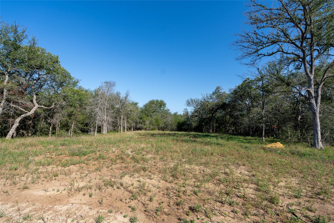 995 Carter Road Dale, TX 78616 - Photo 16 of 28 a view of outdoor space with trees all around