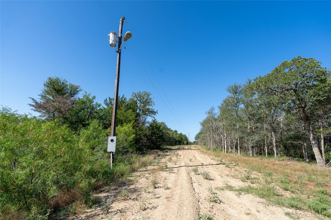 995 Carter Road Dale, TX 78616 - Photo 17 of 28 a view of a yard with a tree