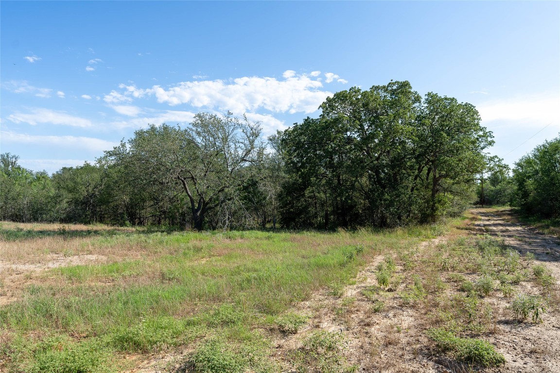 995 Carter Road Dale, TX 78616 - Photo 18 of 28 a view of a yard with a tree