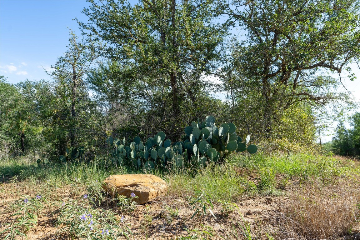 995 Carter Road Dale, TX 78616 - Photo 19 of 28 a backyard of a house with a yard and outdoor seating