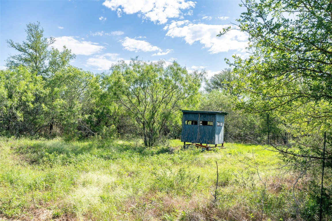 995 Carter Road Dale, TX 78616 - Photo 22 of 28 a view of house with yard