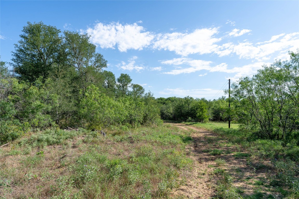 995 Carter Road Dale, TX 78616 - Photo 23 of 28 a view of a big yard with plants and a tree