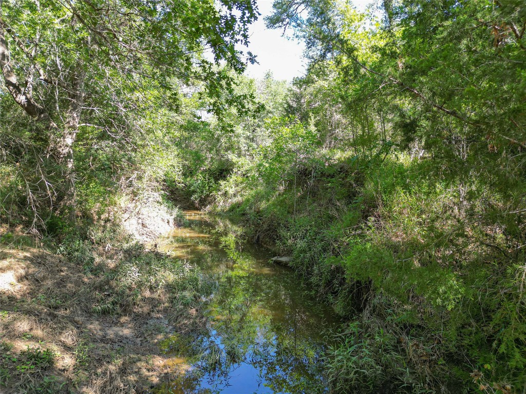 995 Carter Road Dale, TX 78616 - Photo 24 of 28 a view of a tree in a yard