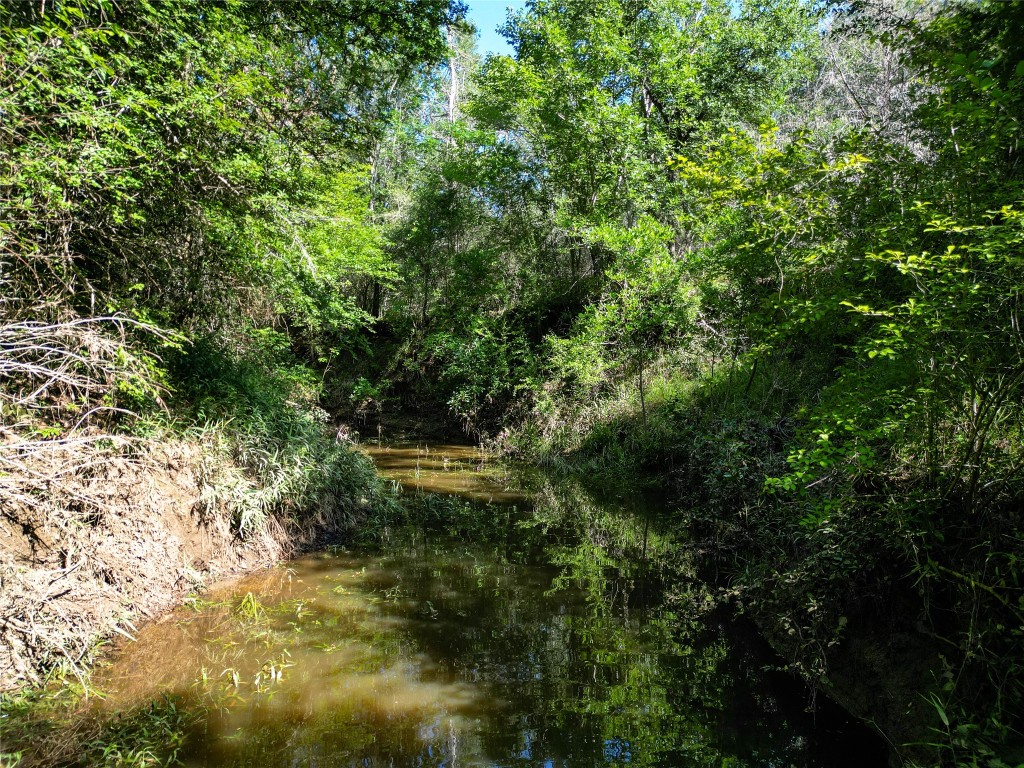 995 Carter Road Dale, TX 78616 - Photo 25 of 28 a view of a garden with plants and large trees