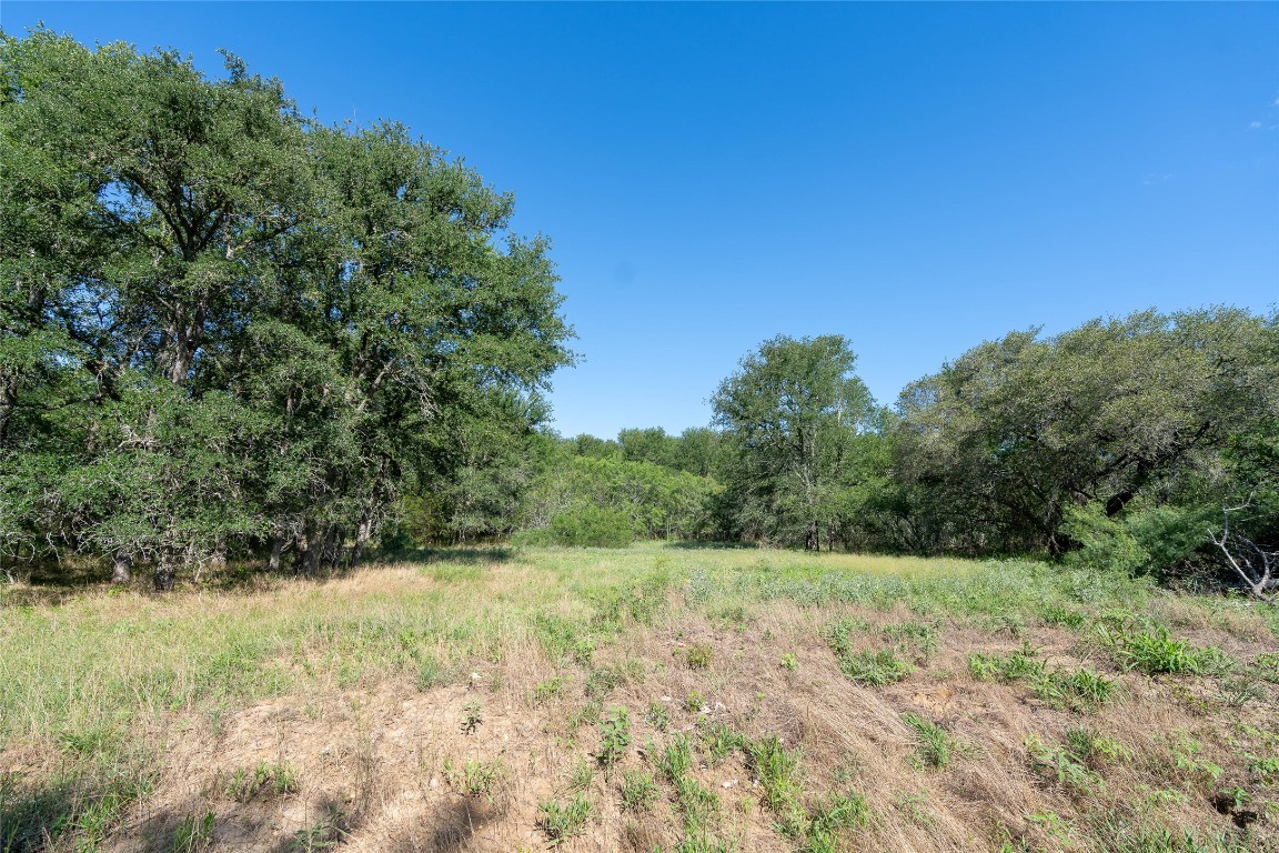 995 Carter Road Dale, TX 78616 - Photo 27 of 28 a view of a field with trees in the background