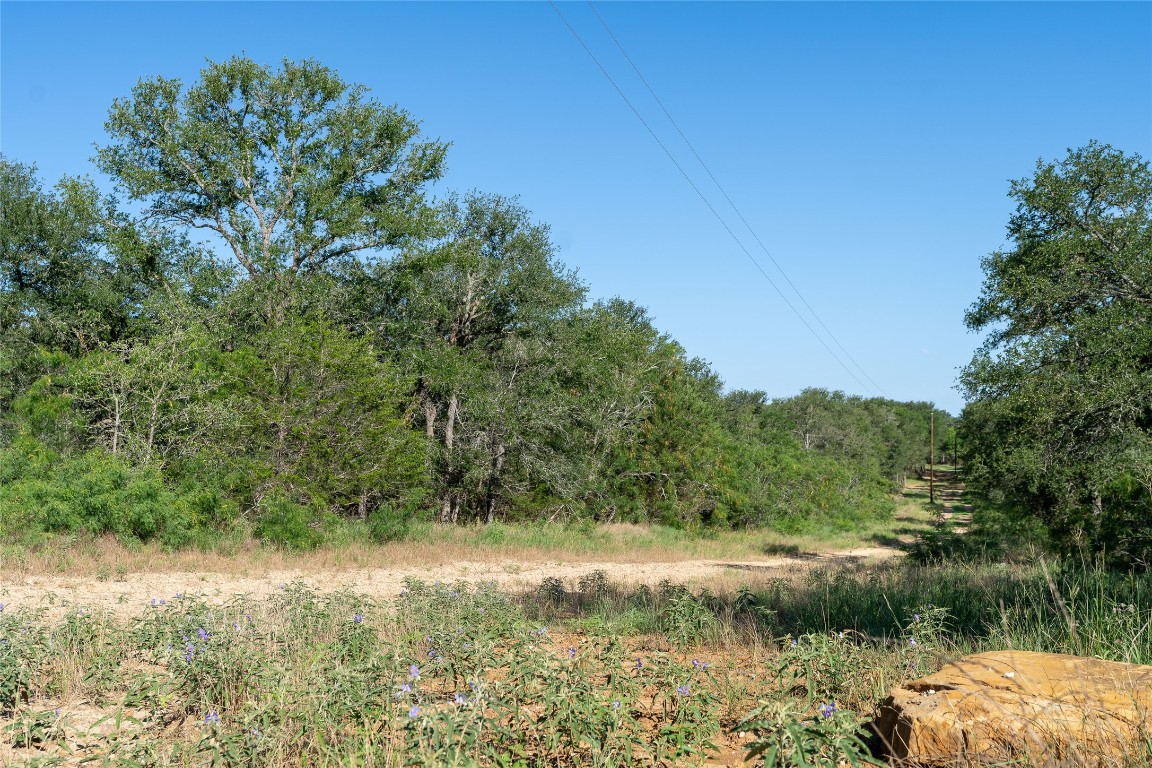 995 Carter Road Dale, TX 78616 - Photo 5 of 28 a view of a yard with a tree