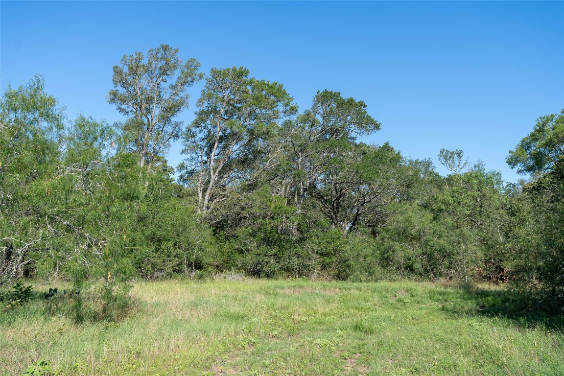995 Carter Road Dale, TX 78616 - Photo 7 of 28 a view of a green field with lots of bushes