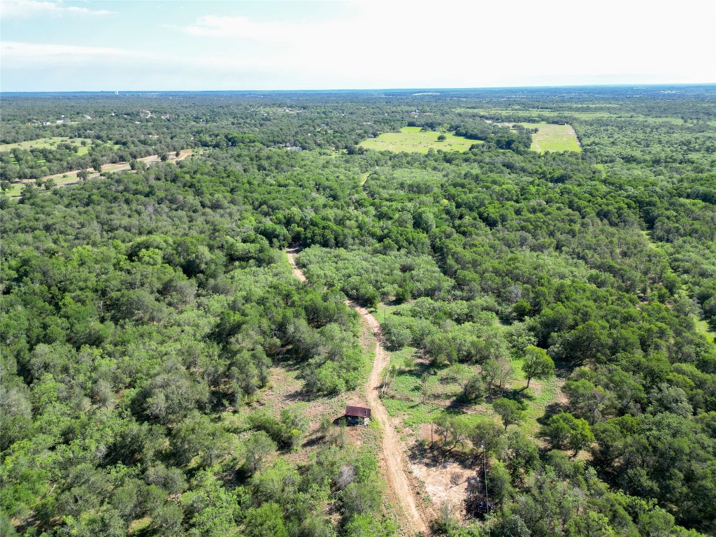 995 Carter Road Dale, TX 78616 - Photo 9 of 28 an aerial view of residential houses with outdoor space and trees