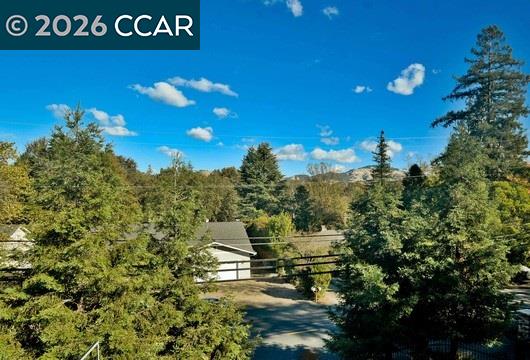 765 Palmer Road Walnut Creek, CA 94596 - Photo 24 of 50