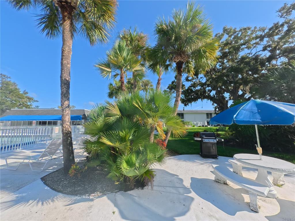 102 47th Ave Drive West, Unit 342 Bradenton, FL 34207 - Photo 16 of 20 a backyard of a house with lots of green space