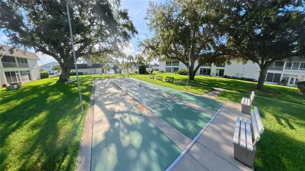 a view of a yard with plants and large trees