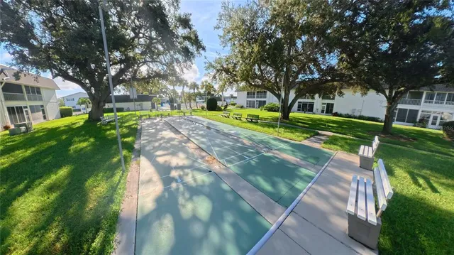 a view of a yard with plants and large trees