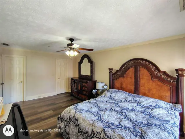 a view of a backyard with large trees