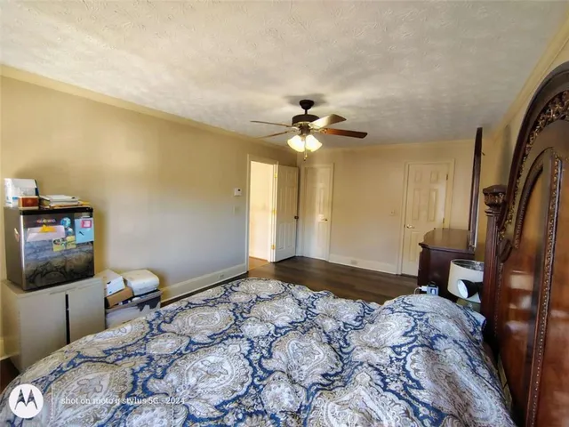 a view of a park with trees