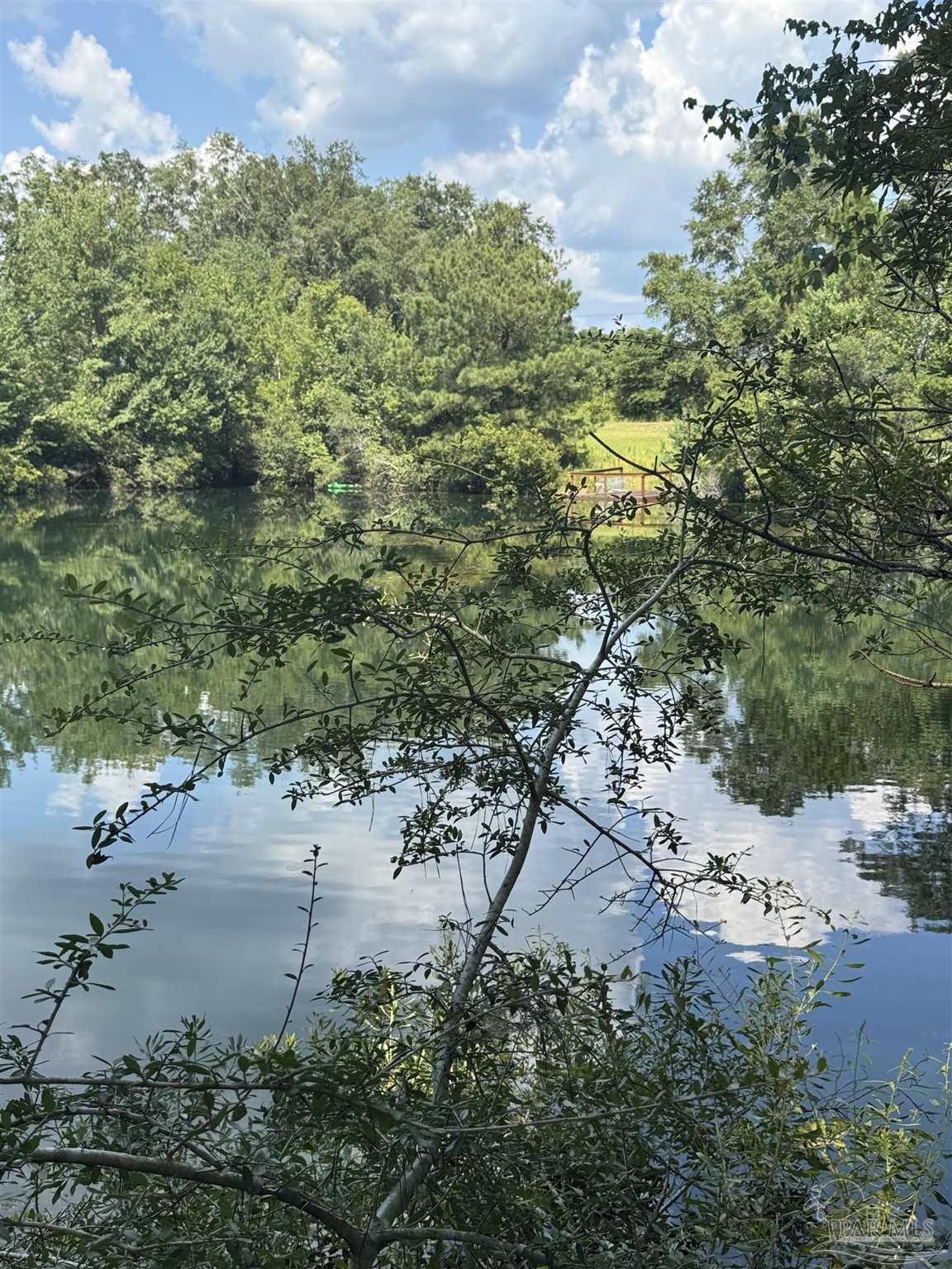 7551 McElhaney Road Century, FL 32535 - Photo 11 of 43 a view of a yard with plants and large trees