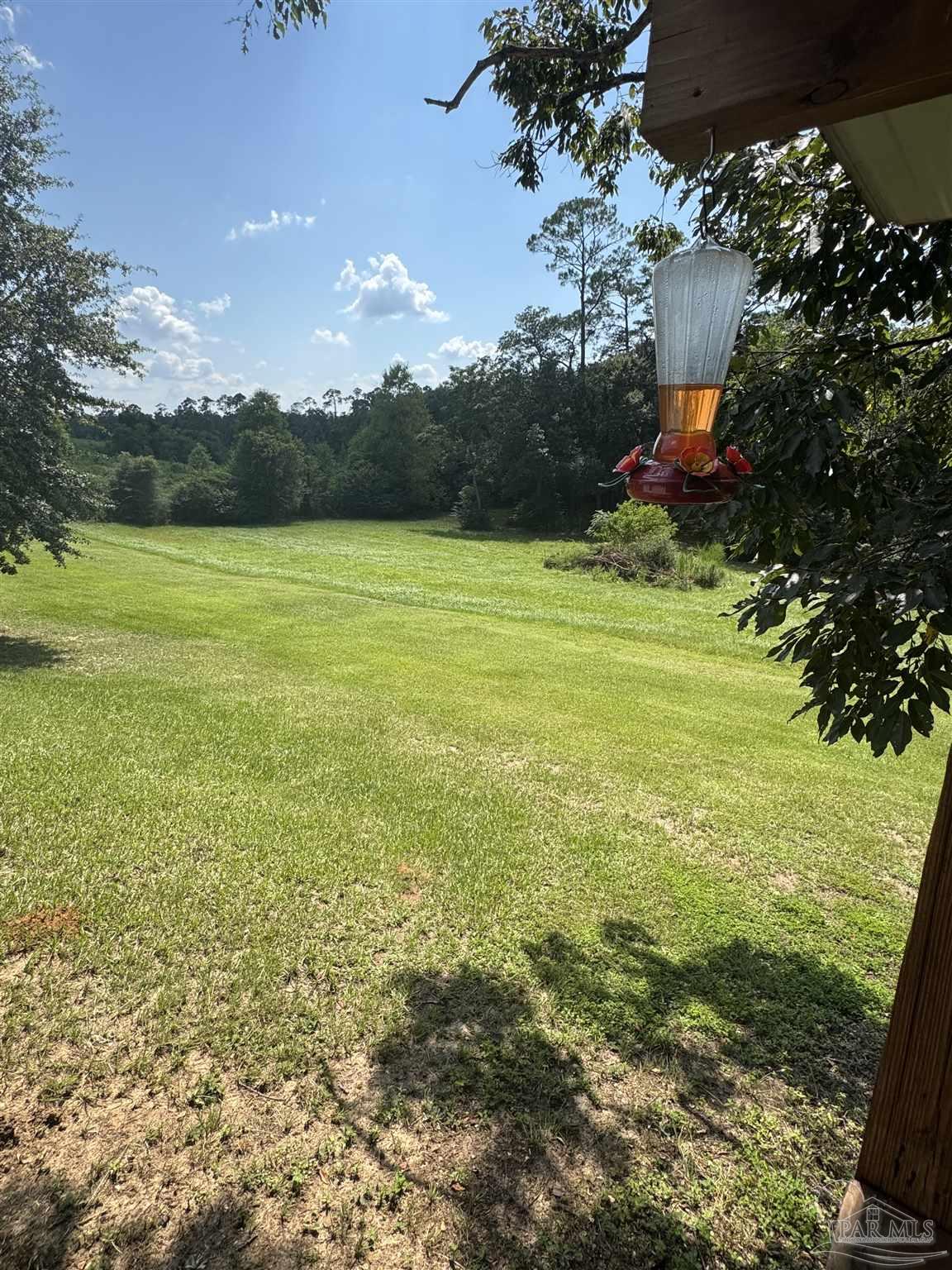 7551 McElhaney Road Century, FL 32535 - Photo 33 of 43 a view of a garden