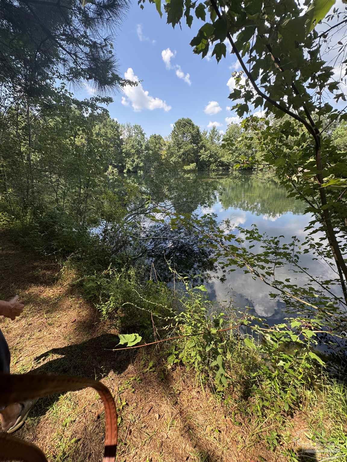 7551 McElhaney Road Century, FL 32535 - Photo 38 of 43 a view of a lake with lawn chairs and large trees