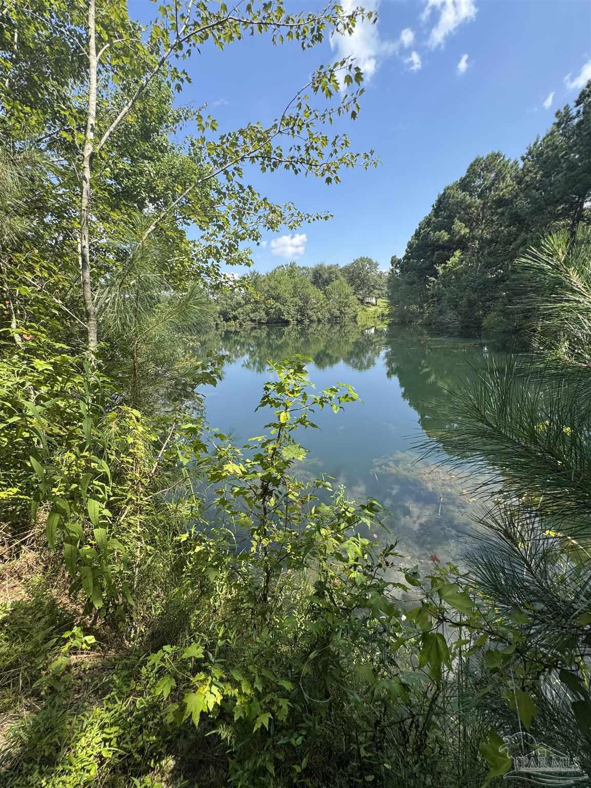 7551 McElhaney Road Century, FL 32535 - Photo 4 of 43 a view of outdoor space yard and green space