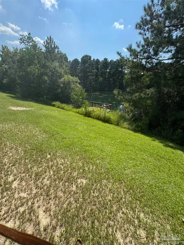 a view of a yard with plants and large trees