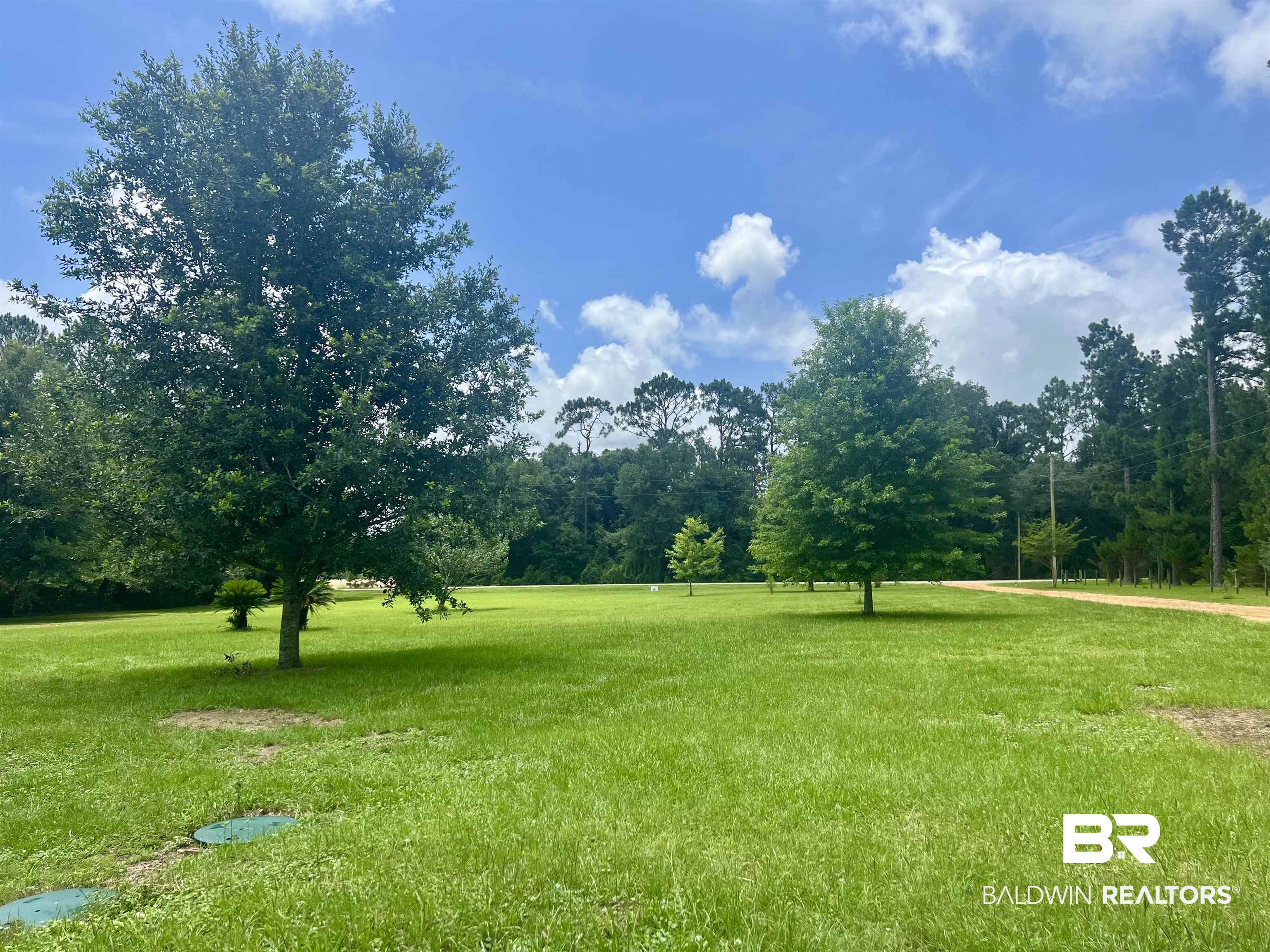 29685 Gardner Road Elberta, AL 36530 - Photo 2 of 16 The front yard has an expansive green lawn with mature trees.