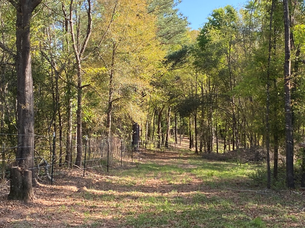0 Co Road Abbeville, AL 36310 - Photo 27 of 53