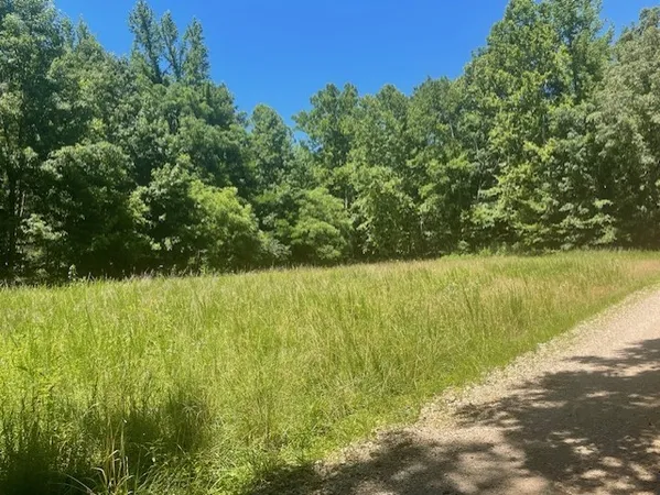 $1,300,000 | 5597 Harmon Creek Road, Big Sandy, TN 38221