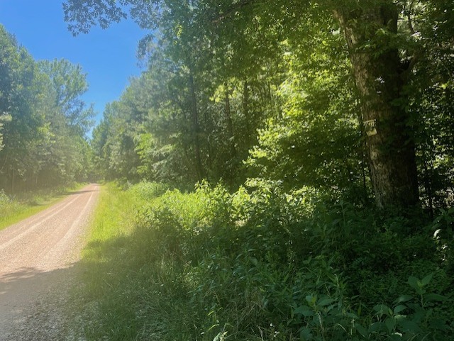 5597 Harmon Creek Road Big Sandy, TN 38221 - Photo 11 of 21