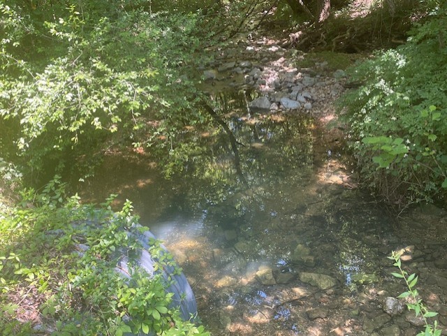 5597 Harmon Creek Road Big Sandy, TN 38221 - Photo 12 of 21