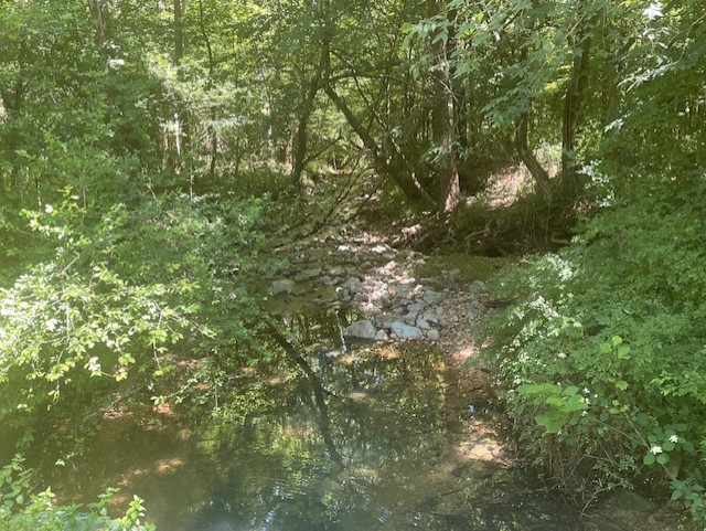 5597 Harmon Creek Road Big Sandy, TN 38221 - Photo 13 of 21