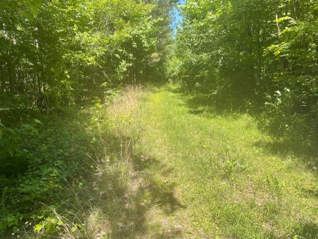 5597 Harmon Creek Road Big Sandy, TN 38221 - Photo 14 of 21