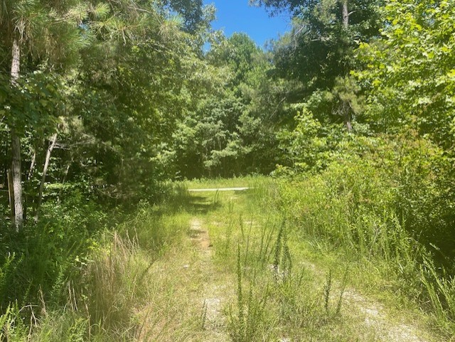 5597 Harmon Creek Road Big Sandy, TN 38221 - Photo 15 of 21