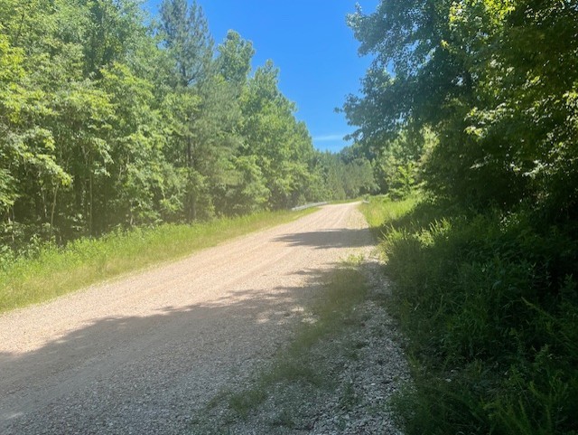 5597 Harmon Creek Road Big Sandy, TN 38221 - Photo 16 of 21