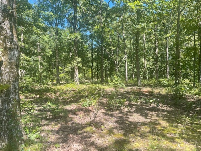 5597 Harmon Creek Road Big Sandy, TN 38221 - Photo 19 of 21