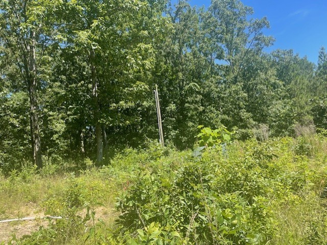 5597 Harmon Creek Road Big Sandy, TN 38221 - Photo 21 of 21