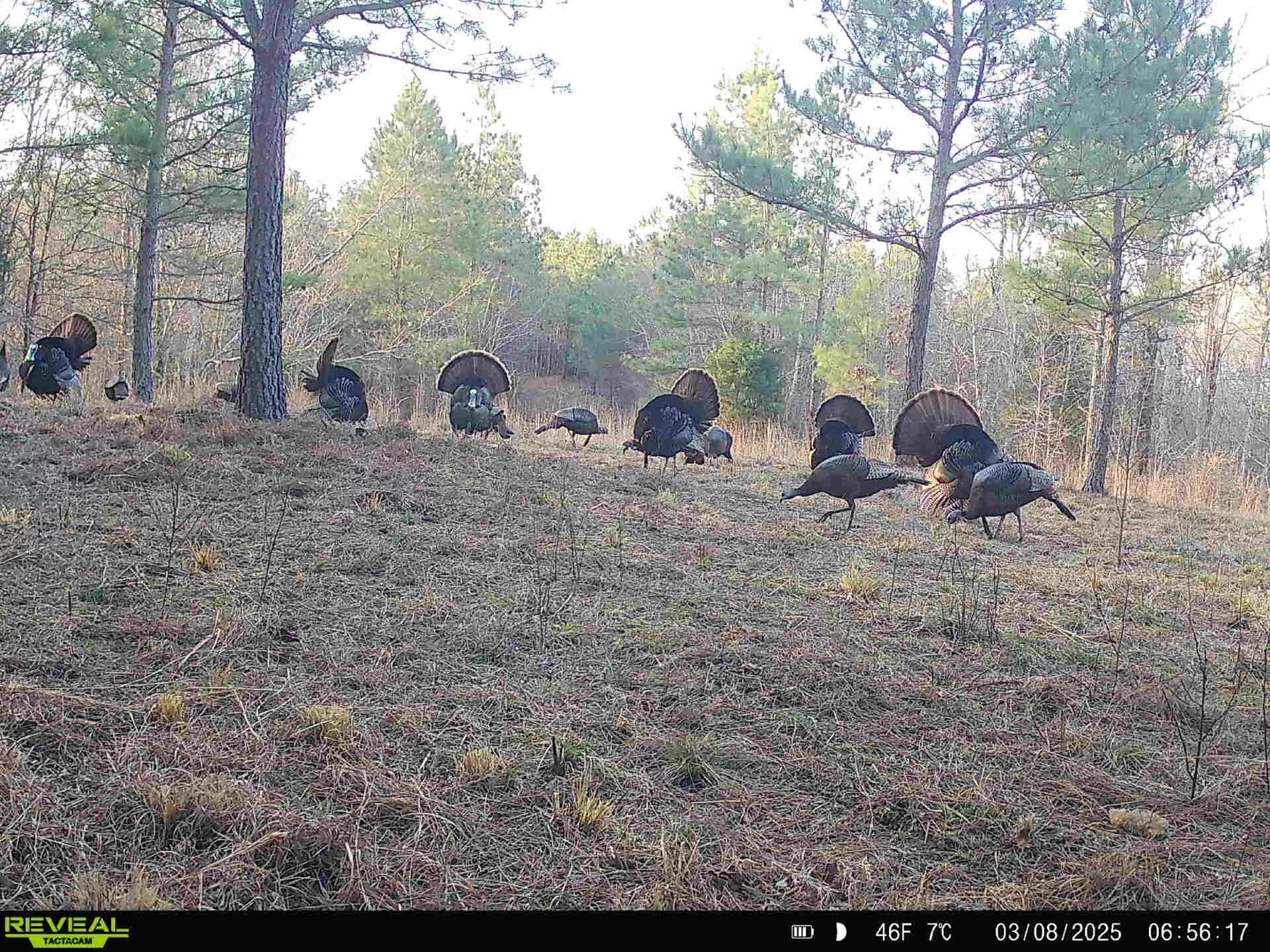 5597 Harmon Creek Road Big Sandy, TN 38221 - Photo 3 of 21