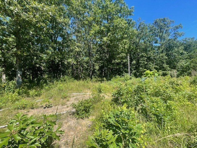 5597 Harmon Creek Road Big Sandy, TN 38221 - Photo 4 of 21