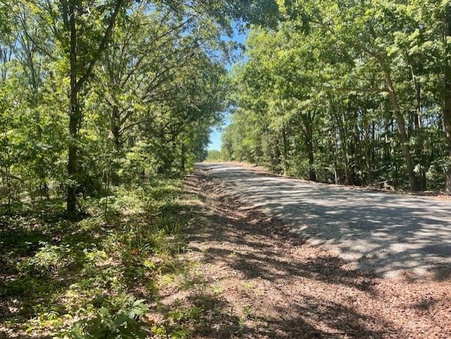 5597 Harmon Creek Road Big Sandy, TN 38221 - Photo 5 of 21