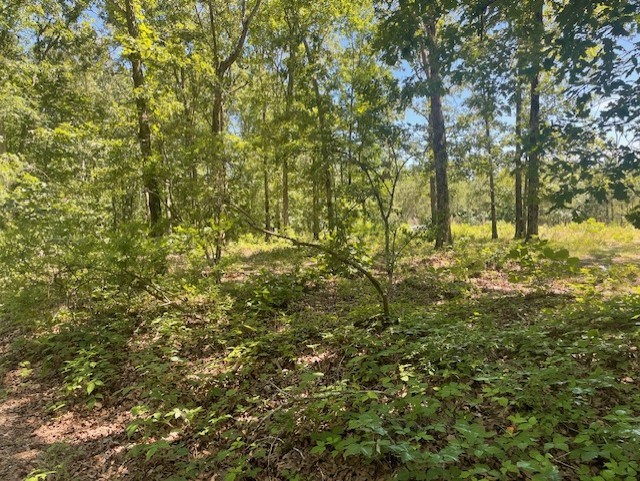 5597 Harmon Creek Road Big Sandy, TN 38221 - Photo 6 of 21