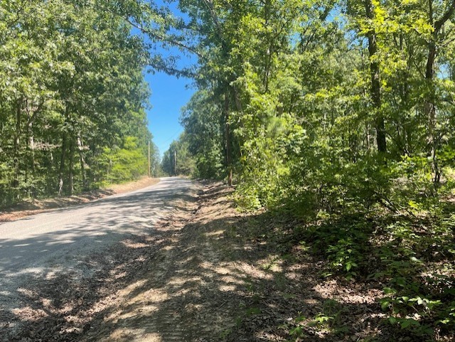 5597 Harmon Creek Road Big Sandy, TN 38221 - Photo 7 of 21