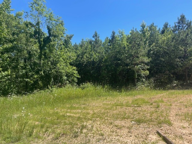 5597 Harmon Creek Road Big Sandy, TN 38221 - Photo 8 of 21