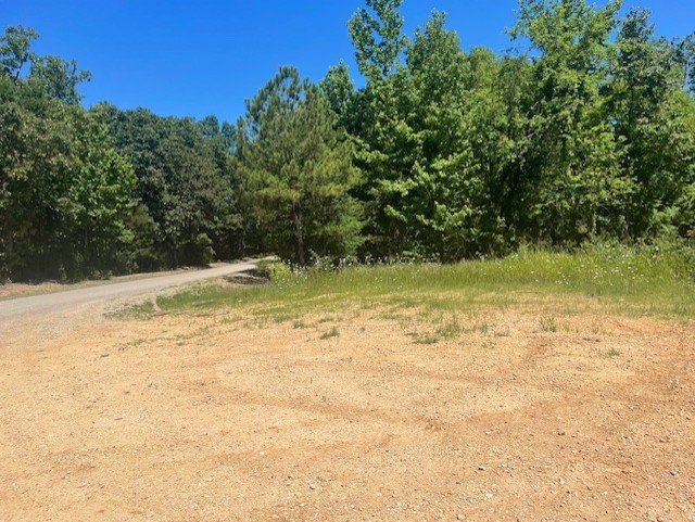 5597 Harmon Creek Road Big Sandy, TN 38221 - Photo 9 of 21