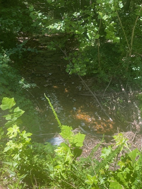 5597 Harmon Creek Road Big Sandy, TN 38221 - Photo 10 of 21