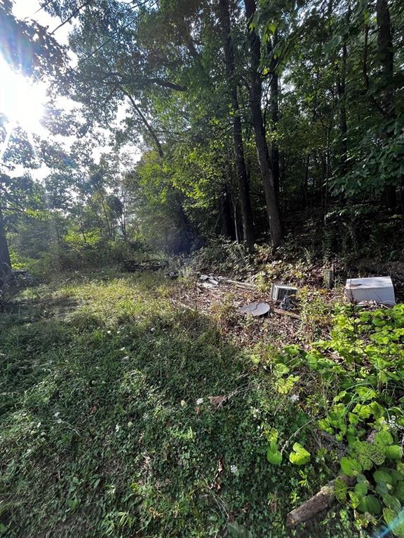 245 Schlemmer Road Rural Valley, PA 16249 - Photo 13 of 16 a backyard of a house with lots of green space