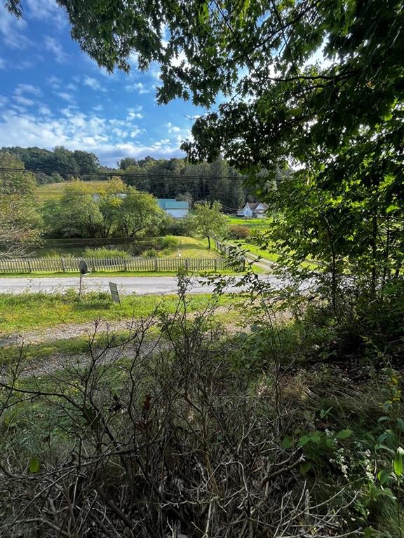 245 Schlemmer Road Rural Valley, PA 16249 - Photo 15 of 16 a view of a field with an trees