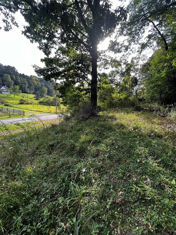 245 Schlemmer Road Rural Valley, PA 16249 - Photo 16 of 16 a view of a golf course with a tree