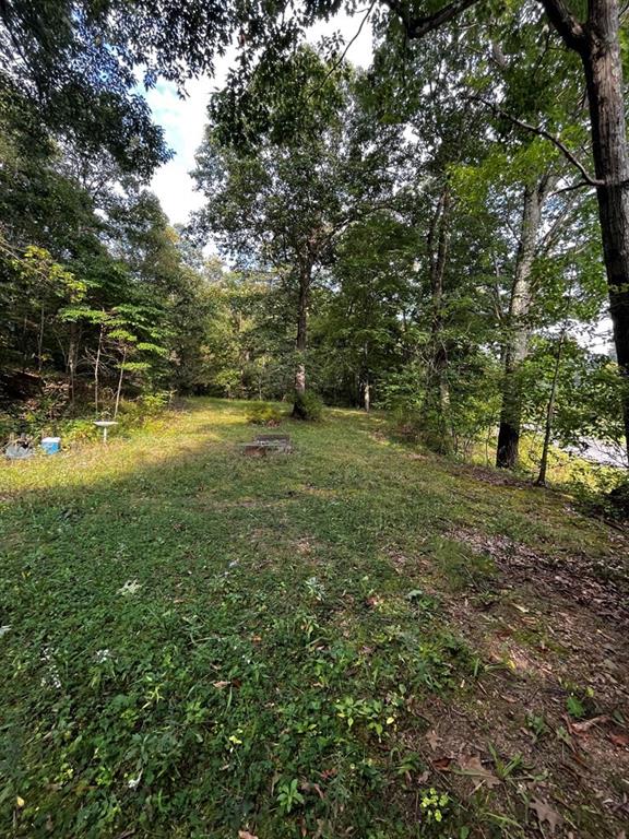 245 Schlemmer Road Rural Valley, PA 16249 - Photo 6 of 16 a view of a yard with trees