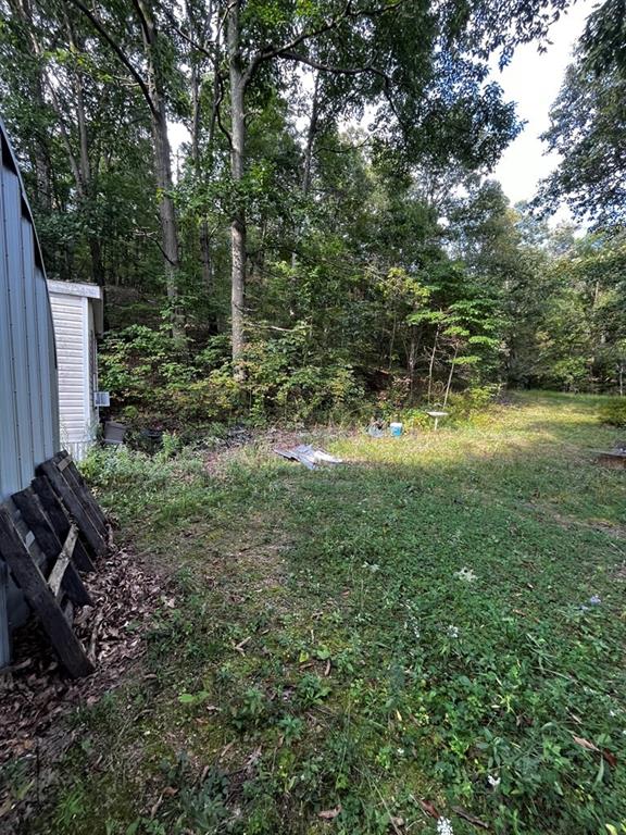 245 Schlemmer Road Rural Valley, PA 16249 - Photo 7 of 16 a view of a yard with large trees
