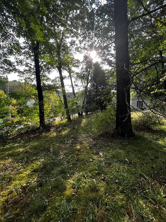 245 Schlemmer Road Rural Valley, PA 16249 - Photo 9 of 16 a big yard with lots of green space and tree