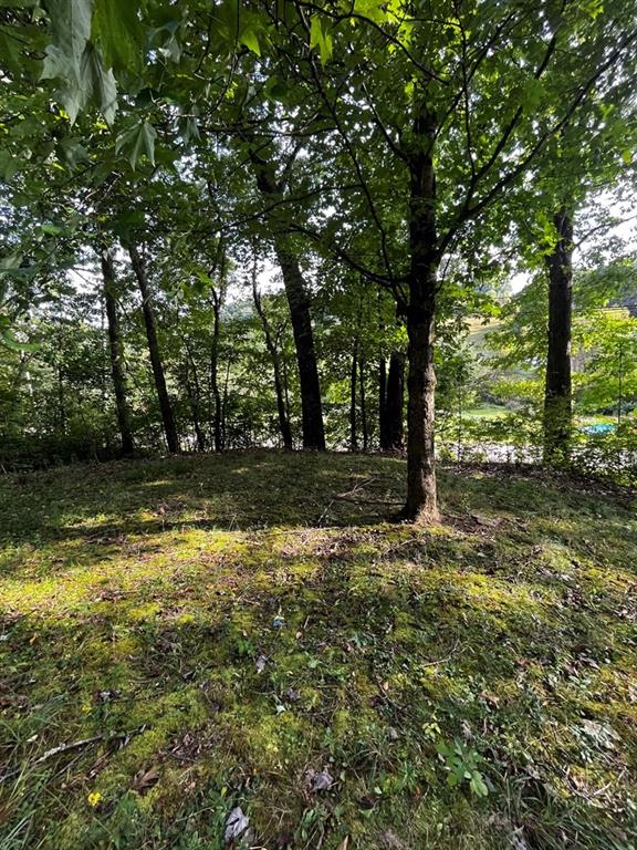 245 Schlemmer Road Rural Valley, PA 16249 - Photo 10 of 16 a view of outdoor space with deck and yard